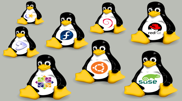 5 Best Beginner Friendly Linux Distributions in 2020